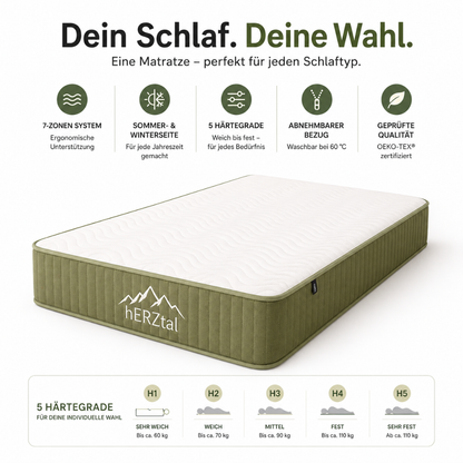 hERZtal Jubiläums-Edition 18 cm – Zonen